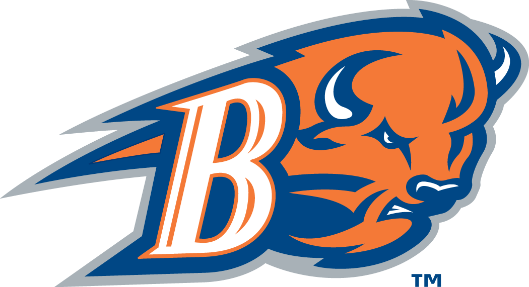 Bucknell Bison 2002-Pres Alternate Logo v2 iron on transfers for fabric